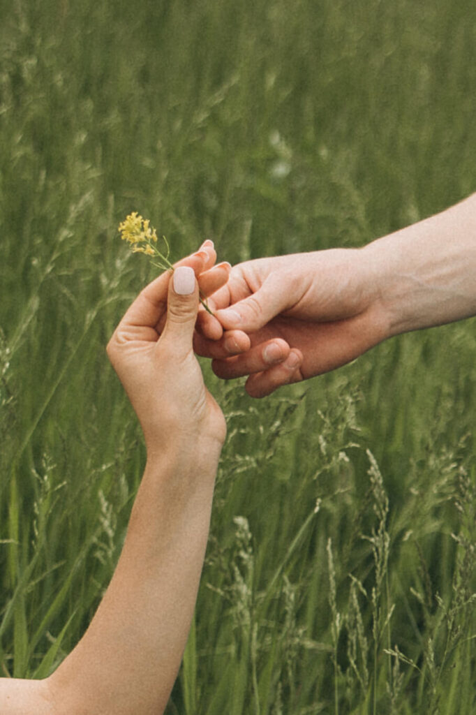 Man hands his fiance a yellow wildflower