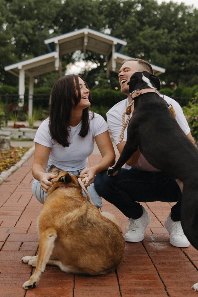 Engaged couple poses with their two dogs in park engagement photo shoot