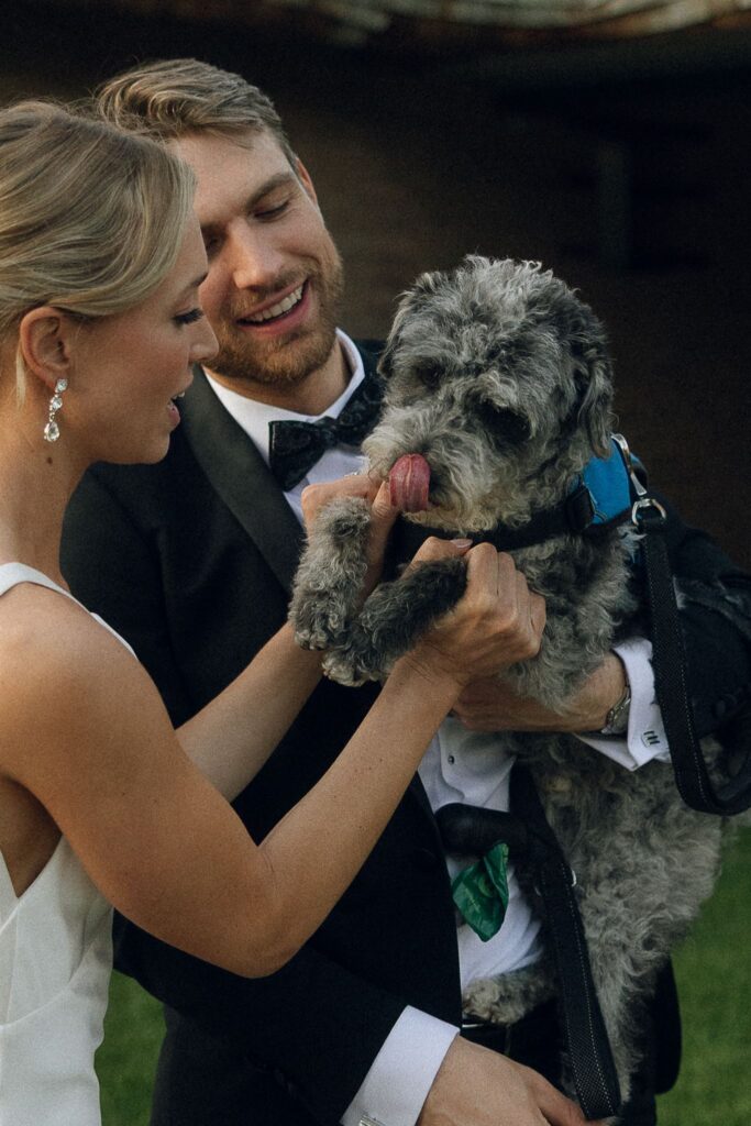 Couple holding their scruffy gray dog and laughing together at Minnesota wedding