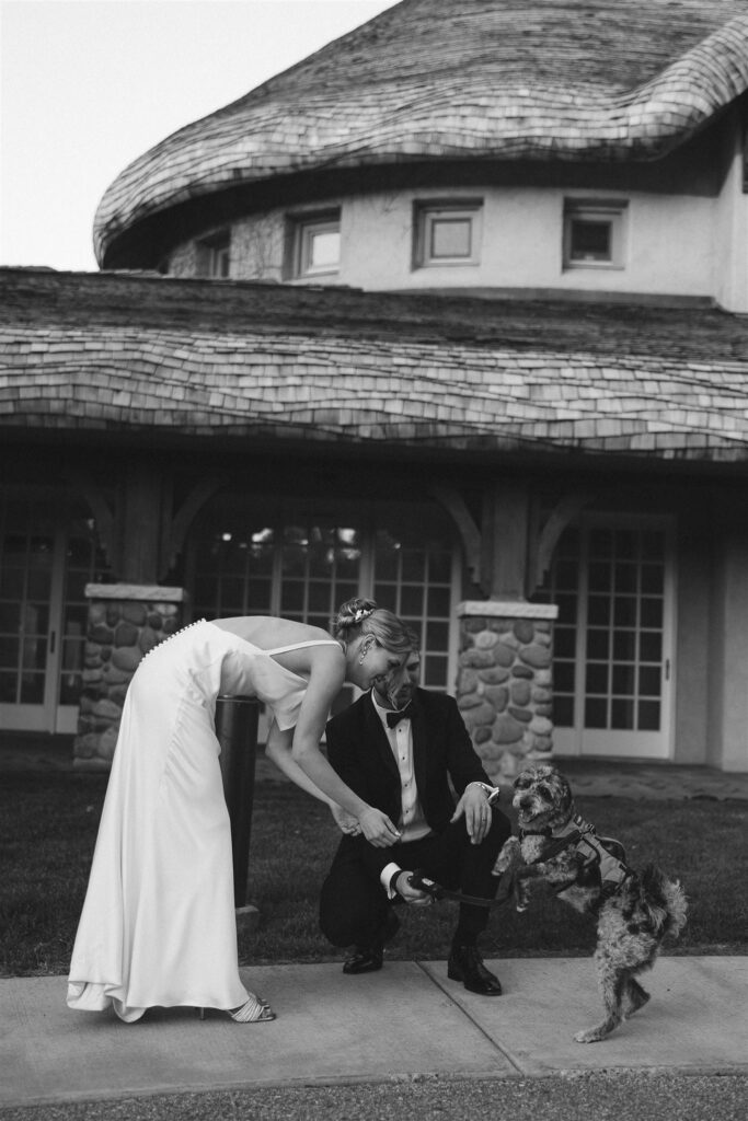 Groom crouches down to pet the couple’s dog outside the venue while bride smiles above him.