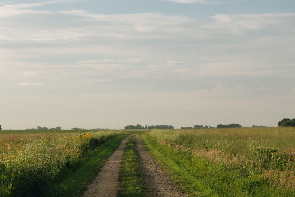 A winding dirt road runs through tall prairie grass in the Minnesota countryside, the kind of landscape that turns a simple walk into a storytelling photo worth remembering.