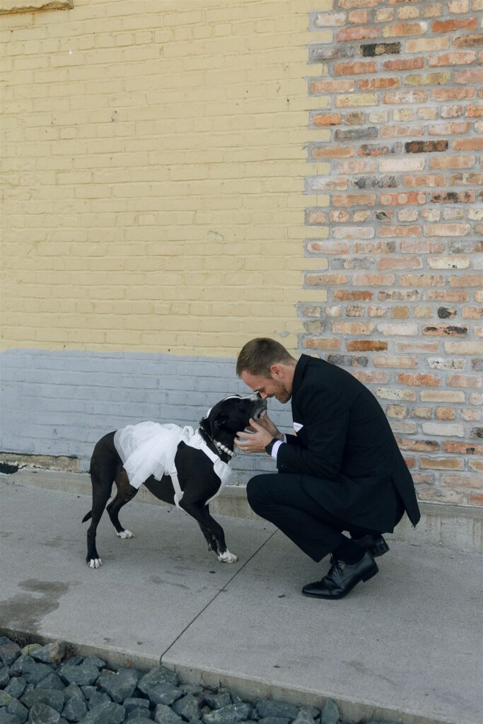 Groom crouches on the sidewalk to greet a black dog wearing a white tulle tutu, sharing a calm, affectionate moment before the ceremony.